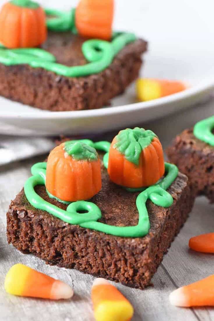 Gourd Garden Brownie Bites