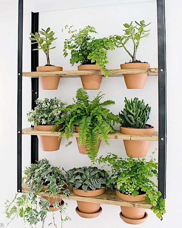 Transform Any Corner into a Lush Green Oasis with an IKEA Hyllis