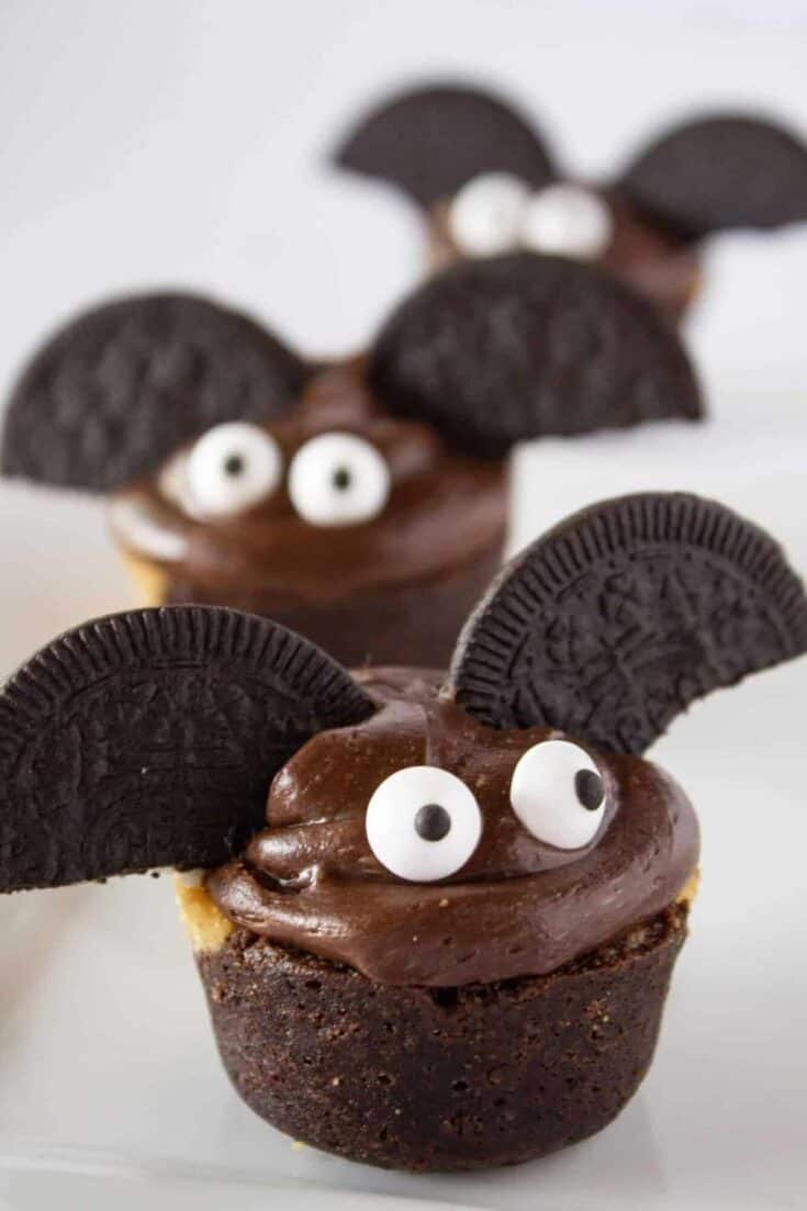 Midnight Bat Brownie Nibbles