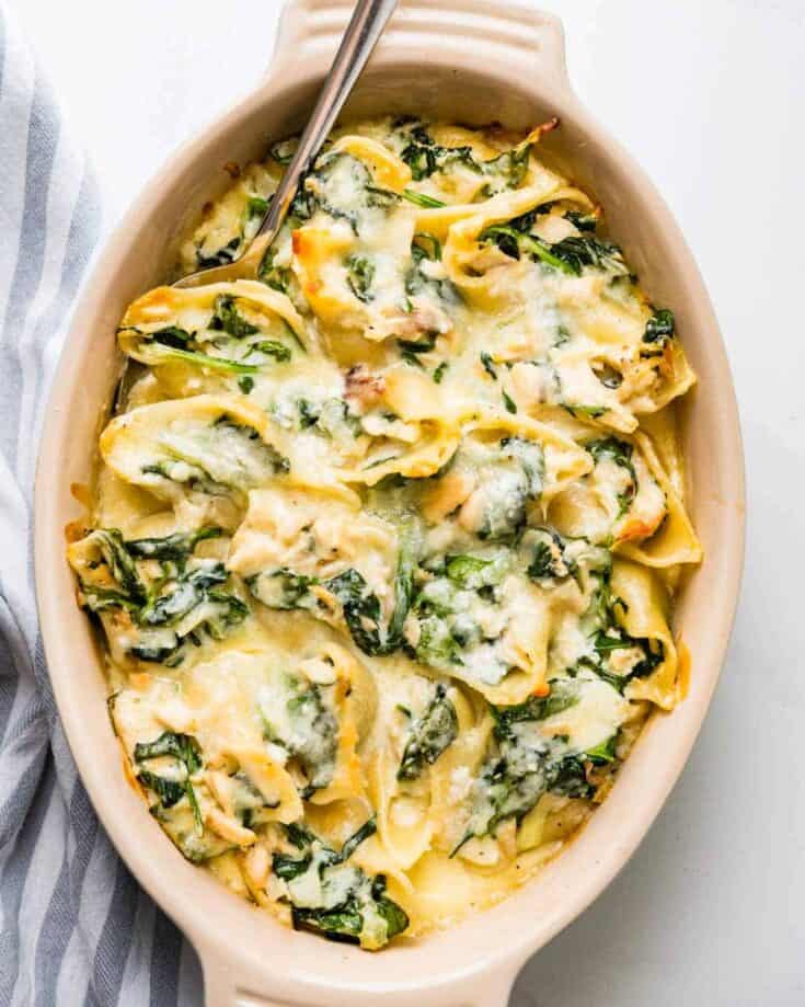 Chicken Alfredo Stuffed Shells