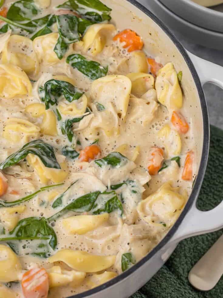 Easy Chicken Alfredo Tortellini Soup