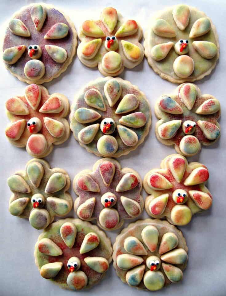 Feather-Paint Sugar Rounds