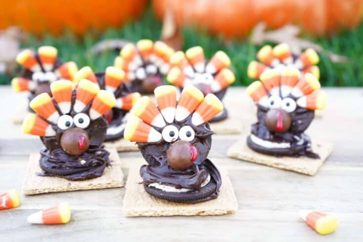 Little Turkey Truffle Pops