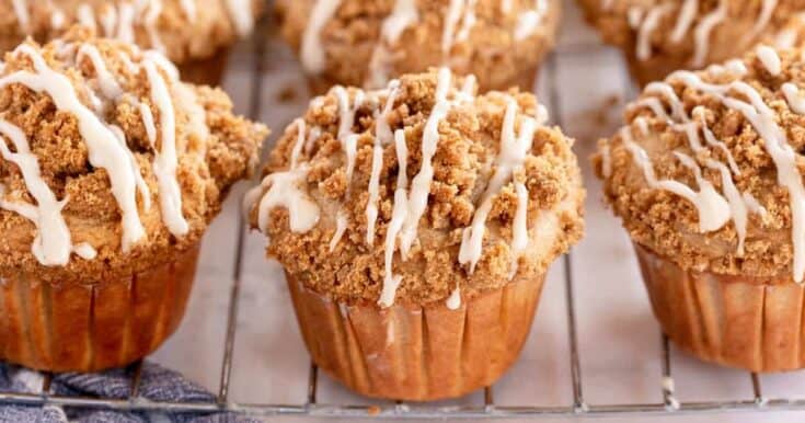 Autumn Spice Apple Streusel Muffins