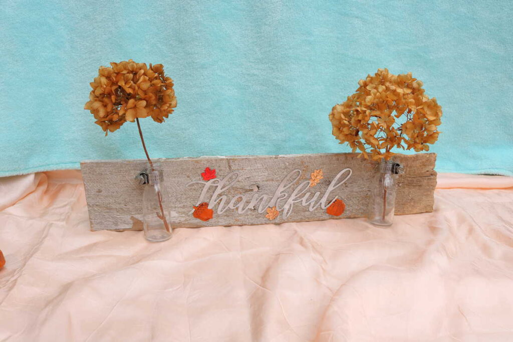 Gratitude on a Plank