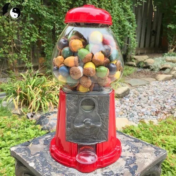 Acorn Atelier: Family-Friendly Fall Accents