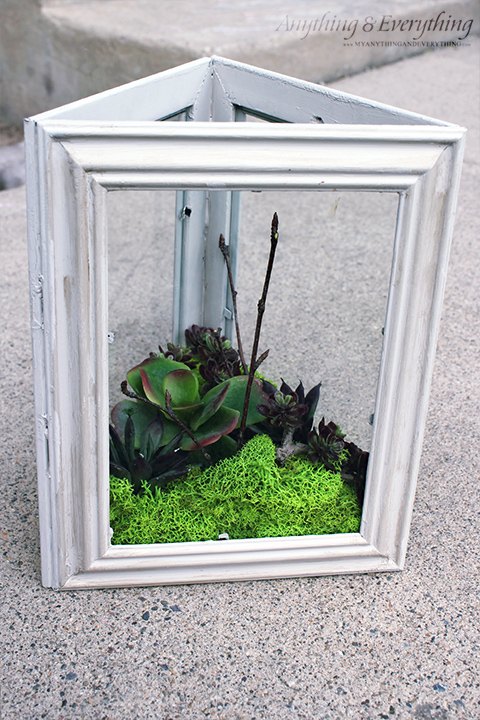 Charming Mini Succulent Frames: A Fresh Twist on Green Decor