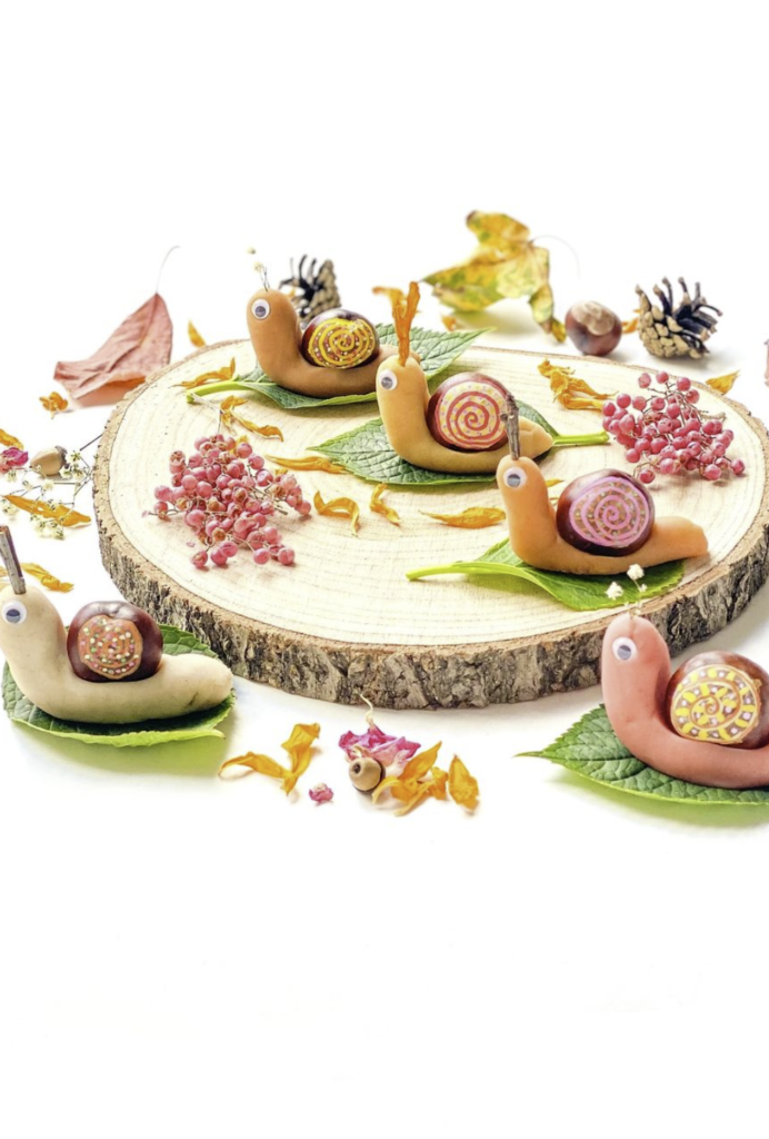 Adorable Conker Snail Family Craft