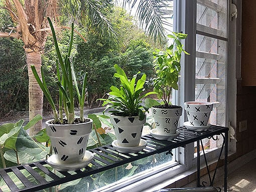 Make a Statement with a Textured or Patterned Planter