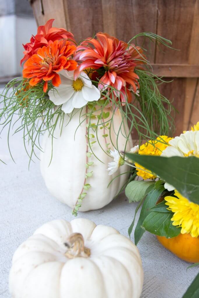 Hollowed Pumpkin Vase: Natural Porch Centerpiece