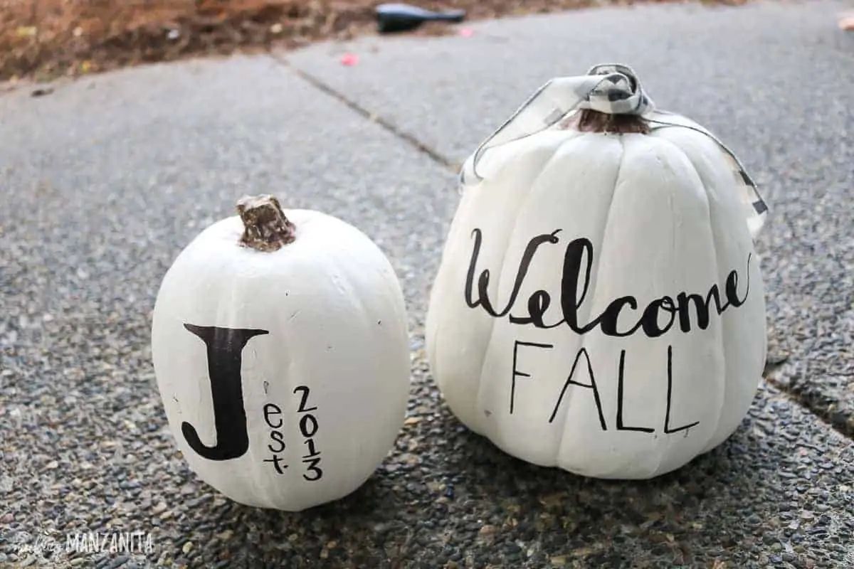 Porch-Perfect White Pumpkin: Chic, Clean Fall Flair