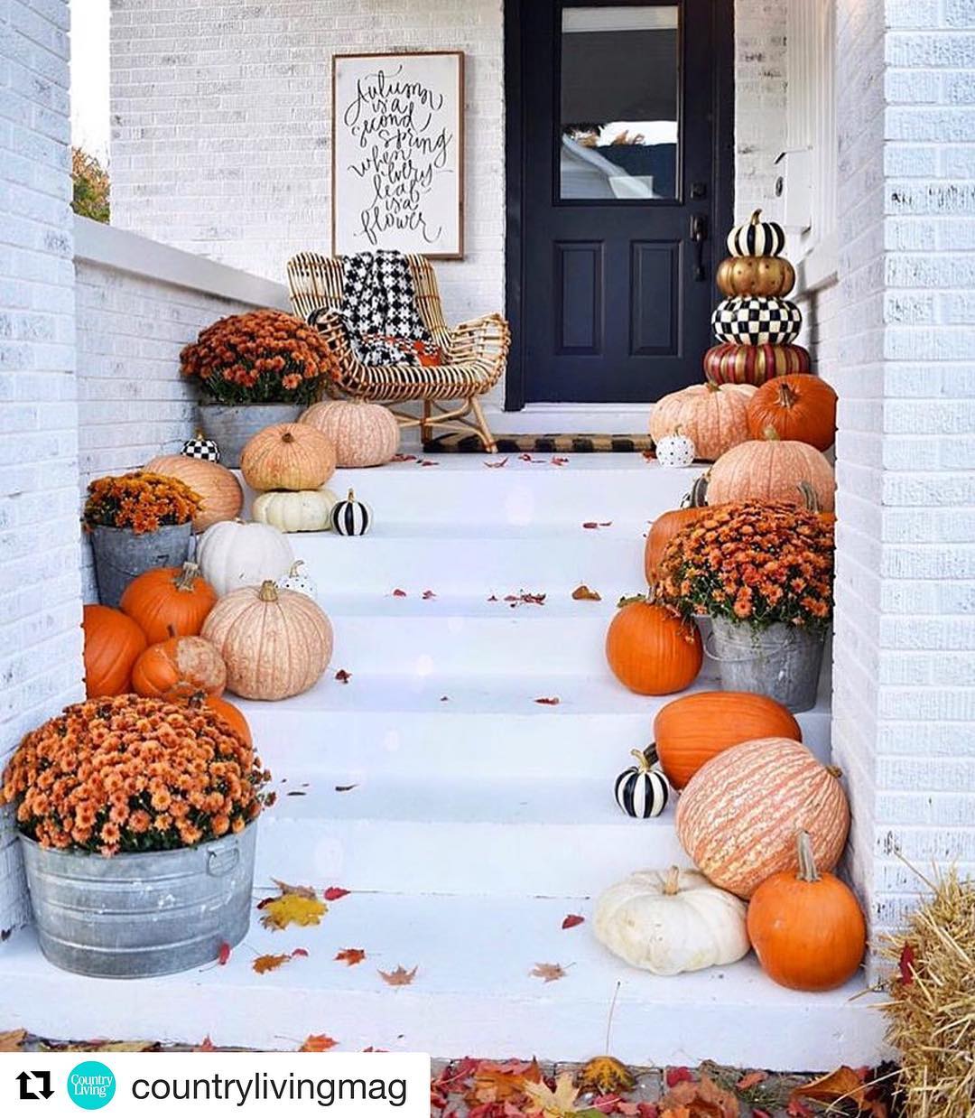 Charming Steps with Pumpkins and Blooms