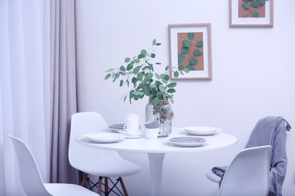 Eucalyptus Bundle Display