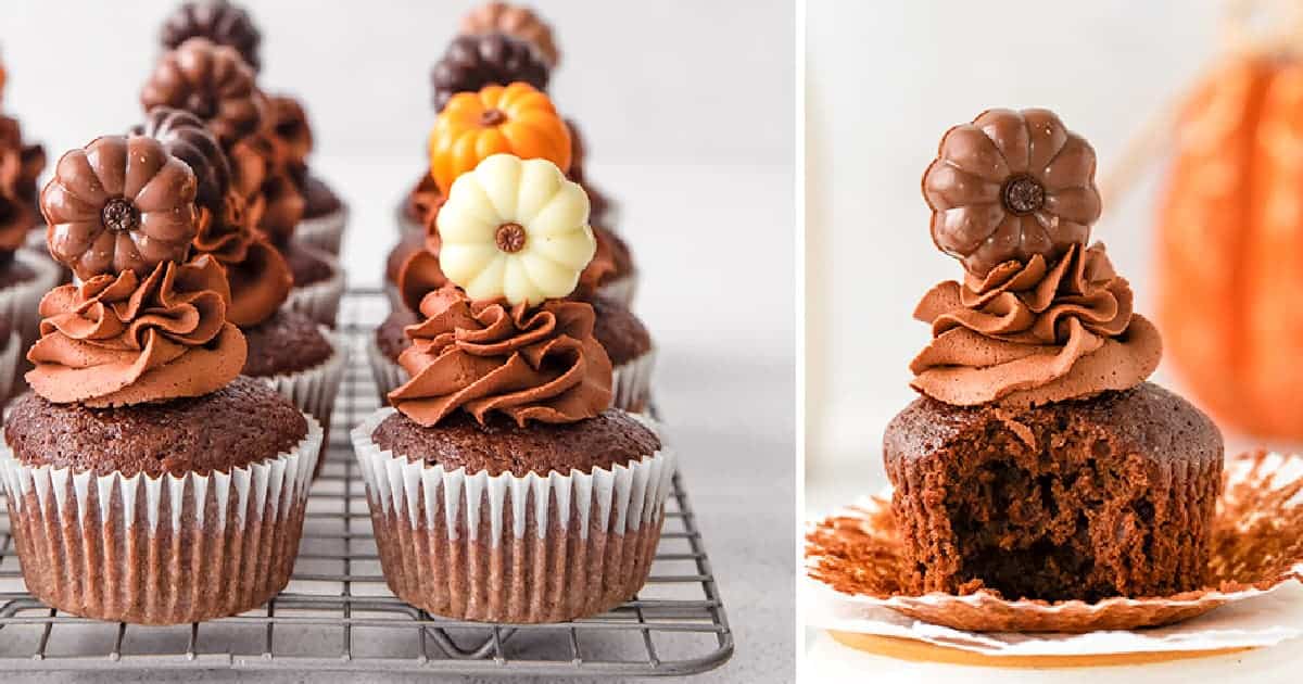 Harvest Cocoa-Pumpkin Cupcakes with Maple Cream Cheese Swirl