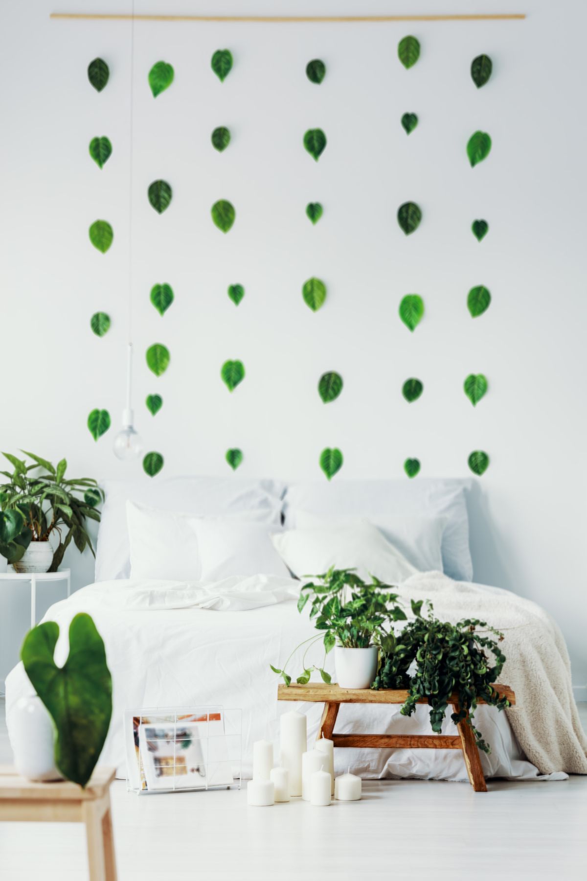 Bring the Outdoors In with a Nature Theme