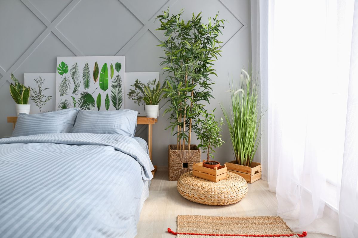 Indoor Greenery and Planter Styling