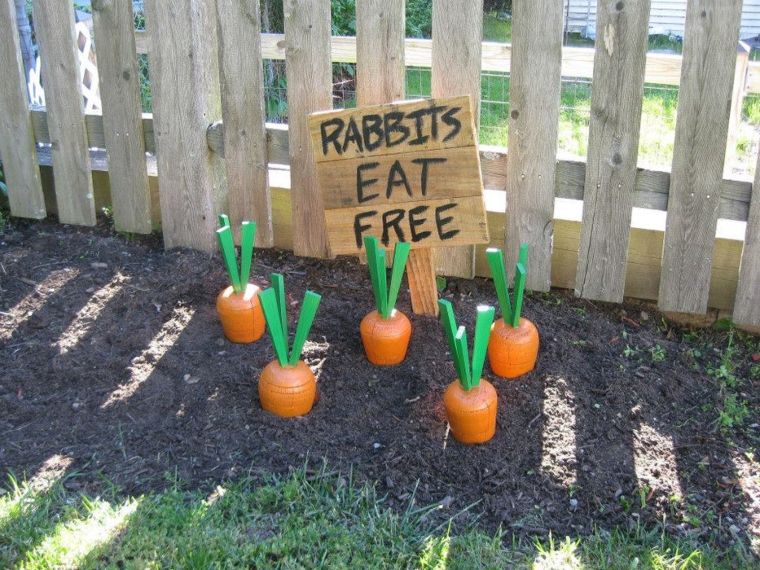 The Gourmet Bunny Carrot Buffet