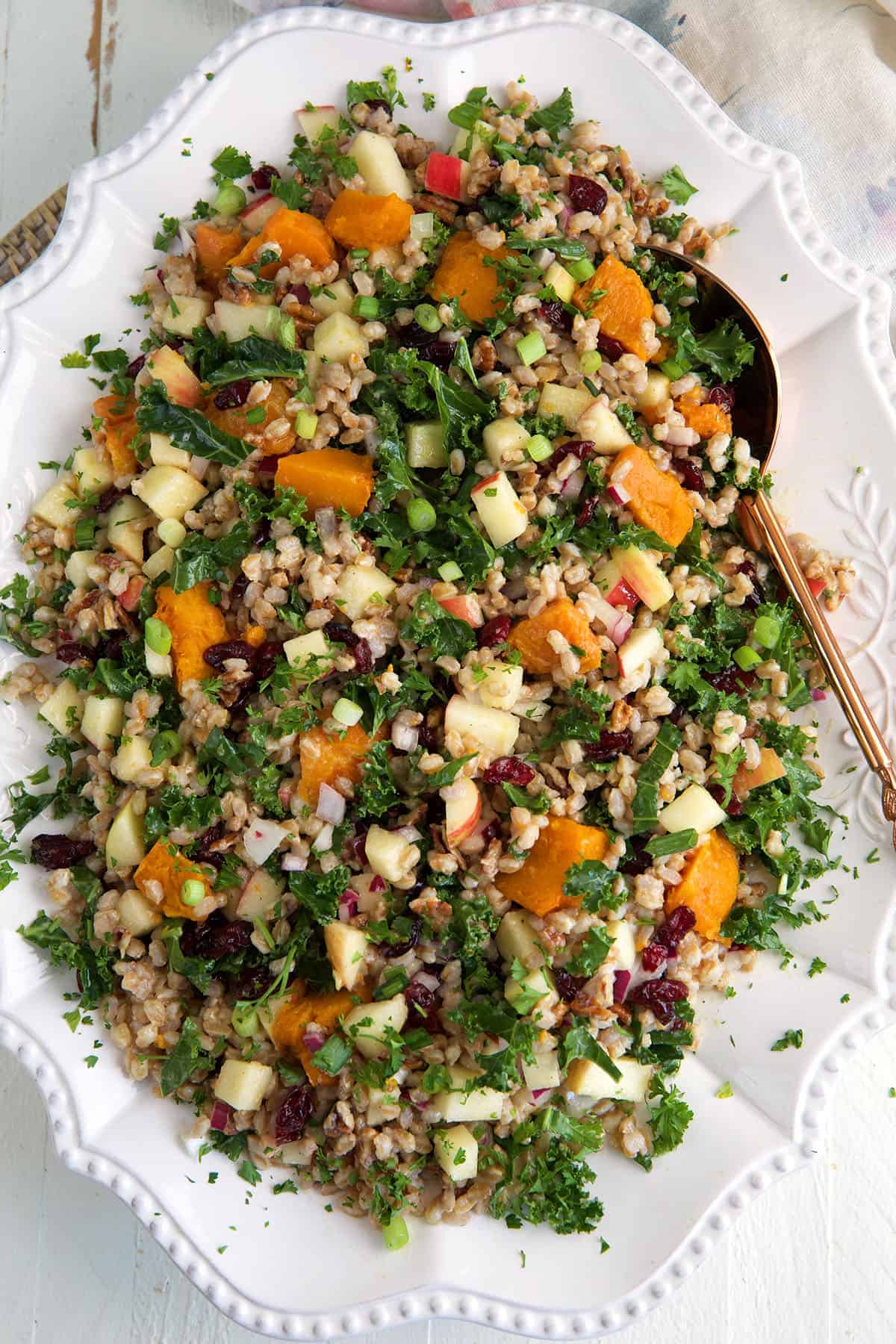 Harvest Grain Salad with Roasted Squash & Apples