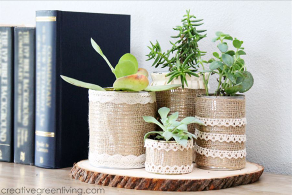 Rustic Charm: DIY Burlap Succulent Display