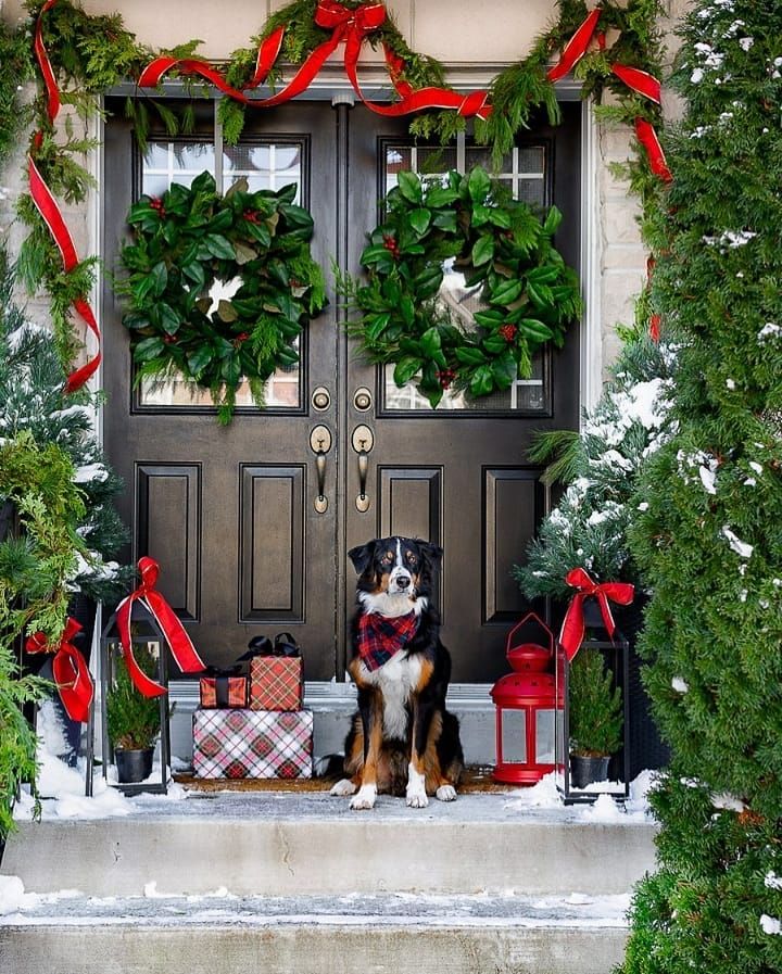 Go Green and Gorgeous: The Lush Foliage Porch Takeover
