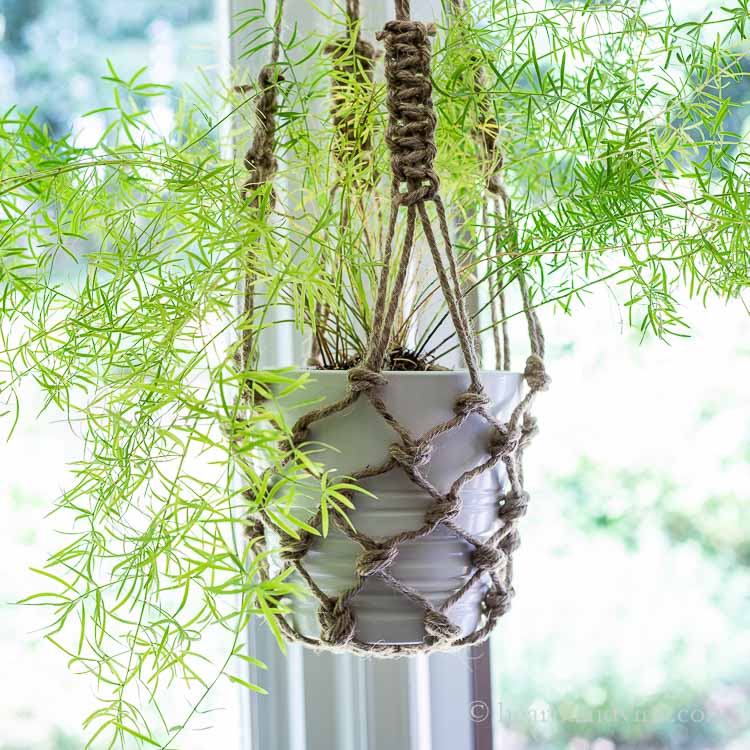 Chic Fishnet Macrame Planters for a Boho Bedroom Vibe