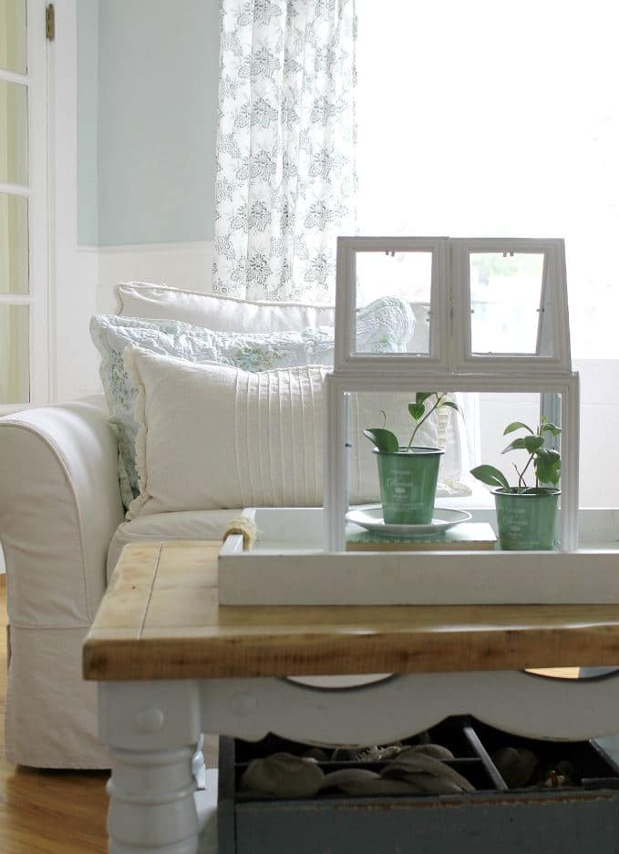 Chic Glass Frame Mini Greenhouse for Your Indoor Jungle