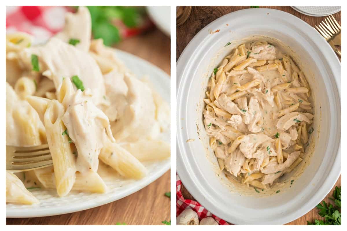 Creamy Roasted Garlic and Herb Chicken Alfredo