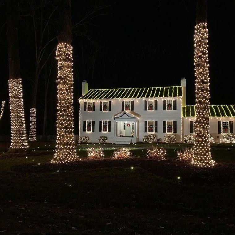 Trunk Wraps: Turn Trees into Lighted Pillars