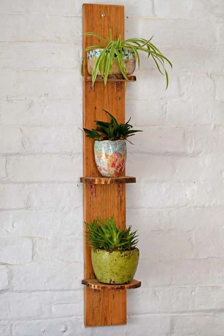 Rustic Wood-Slice Plant Ledges