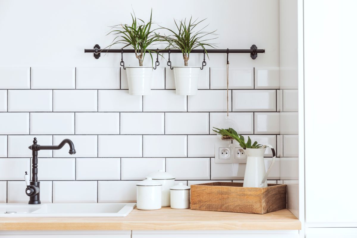 Scandi Hanging Pot Plants