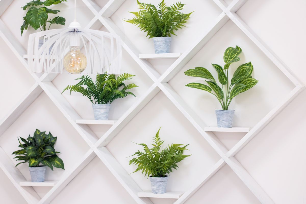 Kitchen Greenery