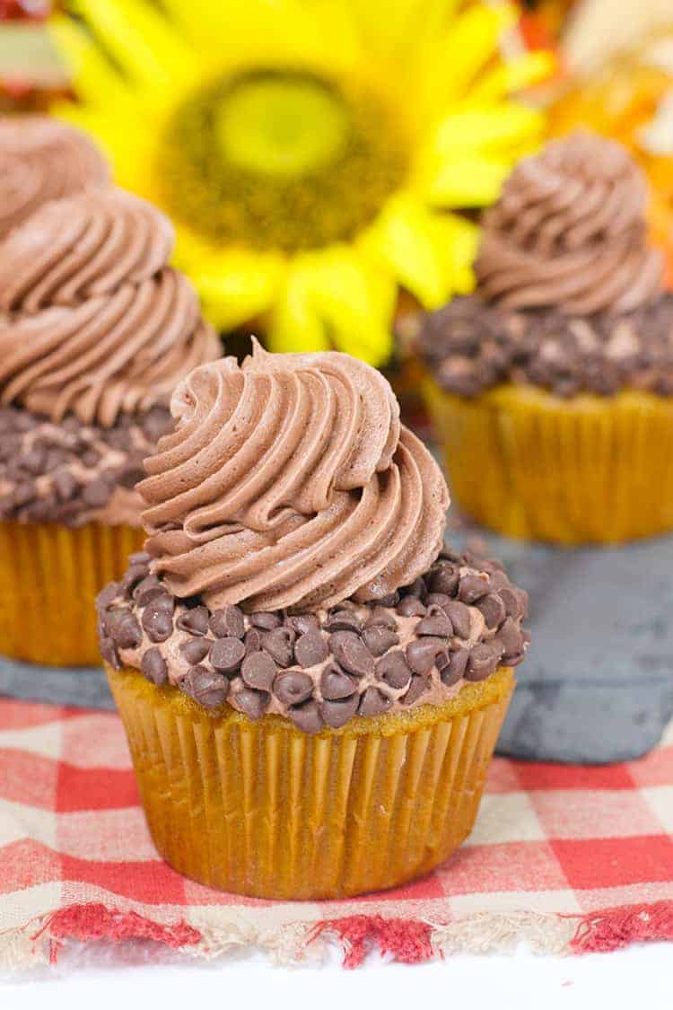 Autumn Harvest Pumpkin-Chip Cupcakes