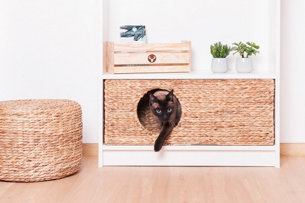 Space-Saving IKEA Hack: Cozy Cat Nook from a Bookshelf Base