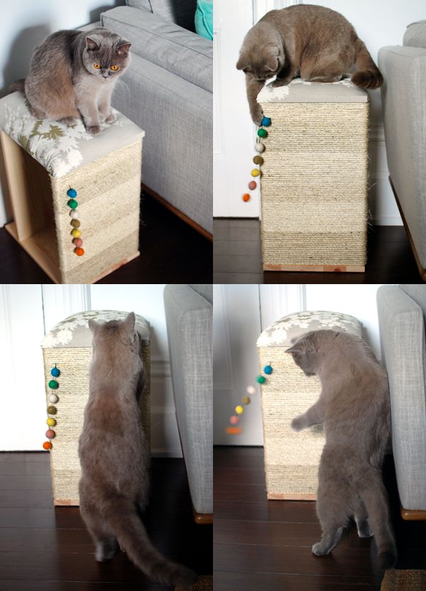 Sleek Living-Room Cat Scratching Station