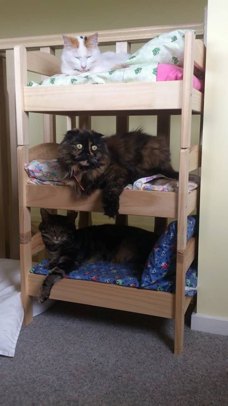 Multi-Level IKEA DUKTIG Cat Lounge — Stackable Beds for Multiple Felines
