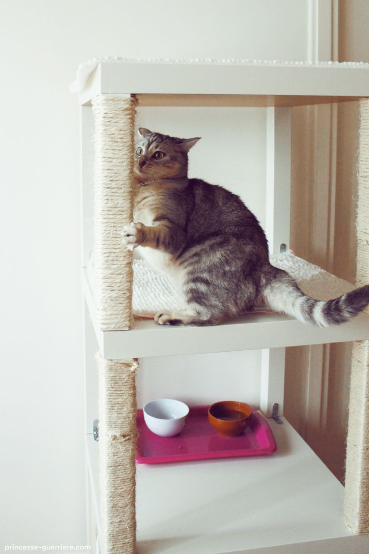 IKEA LACK Cat Tower: Space-Saving Climb, Scratch & Nap Station