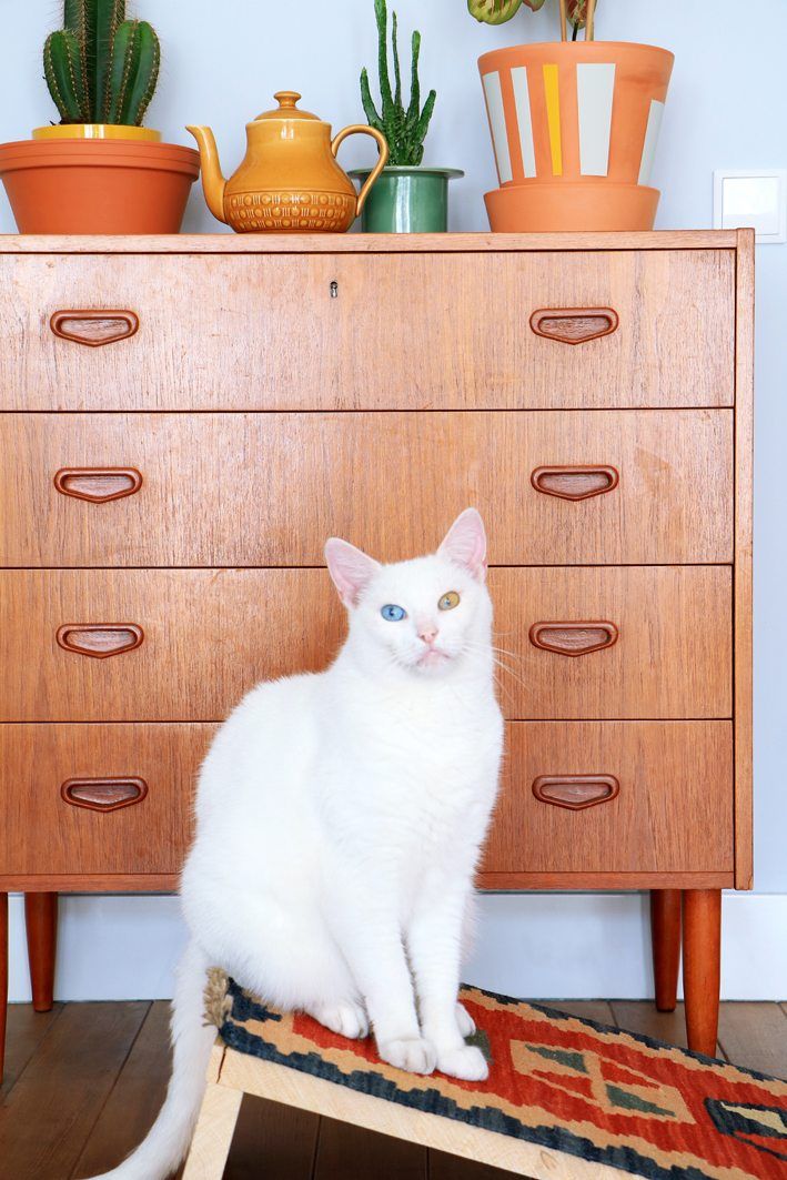 IKEA Mini-Rug Cat Scratcher: A Stylish Stand to Save Your Sofa