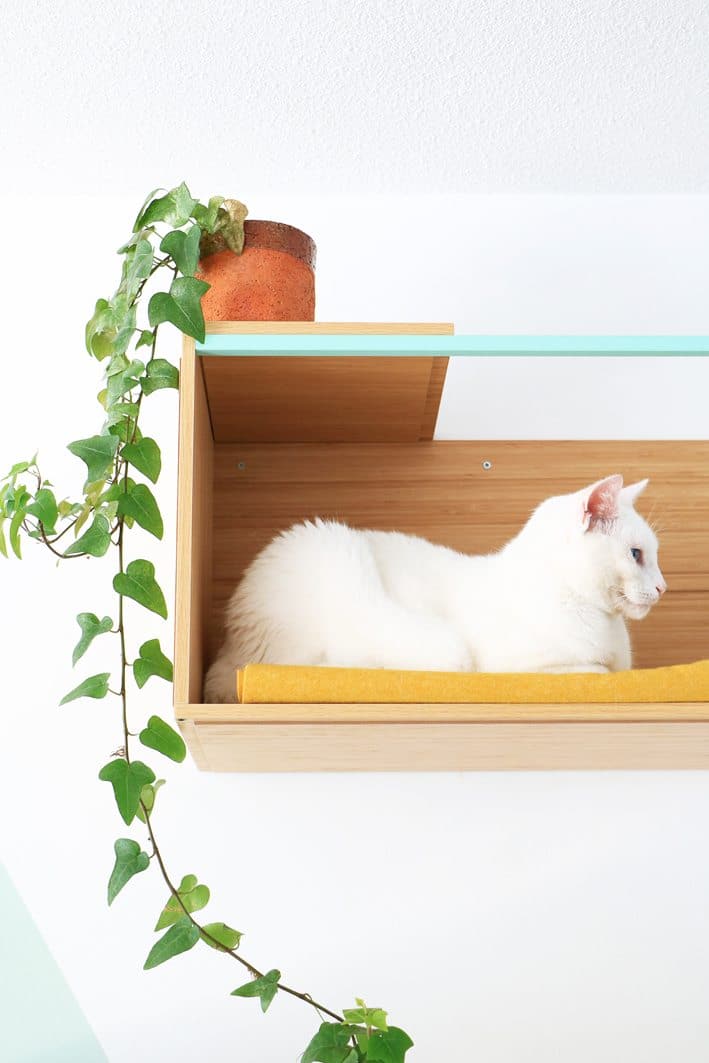 Fridge-Top Cat Perch: DIY IKEA Shelf Lounge