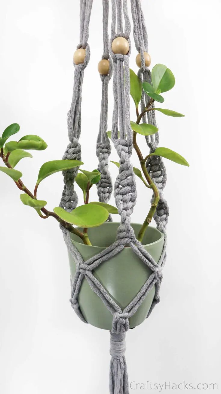 Bohemian Macrame Plant Hanger