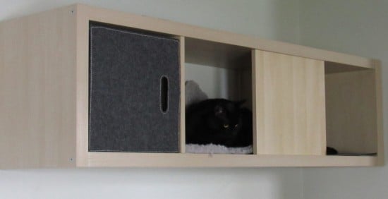 DIY Kallax Cat Condo: A Vertical Climbing Playground for Your Feline