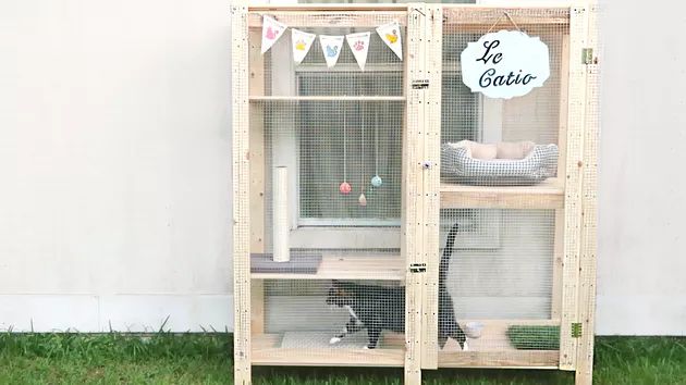 Turn IKEA Henje Shelves into a Sunlit Outdoor Cat Sanctuary