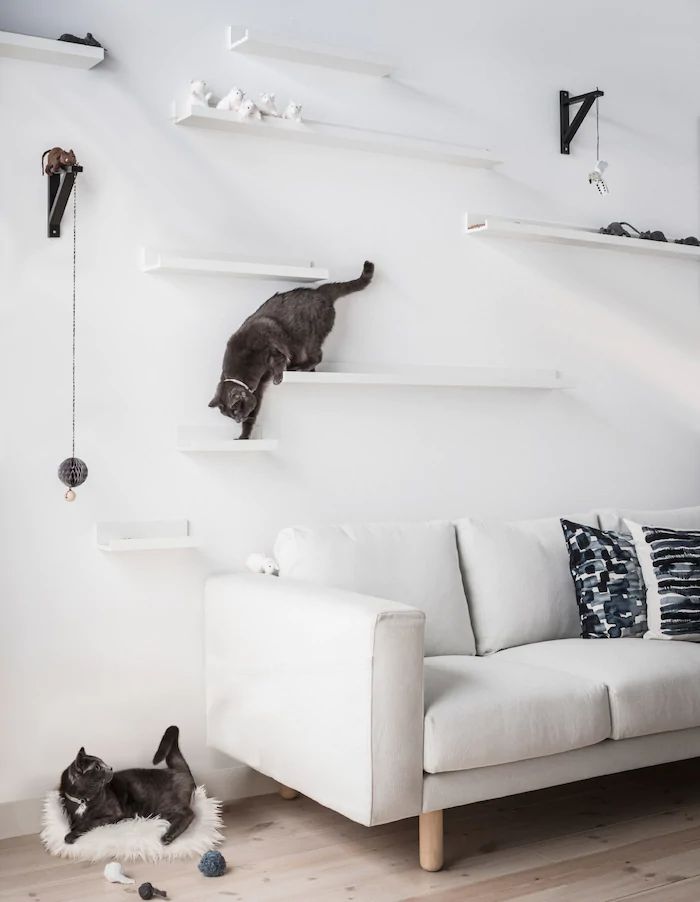 Wall-Mounted Cat Perches Using IKEA Picture Ledges