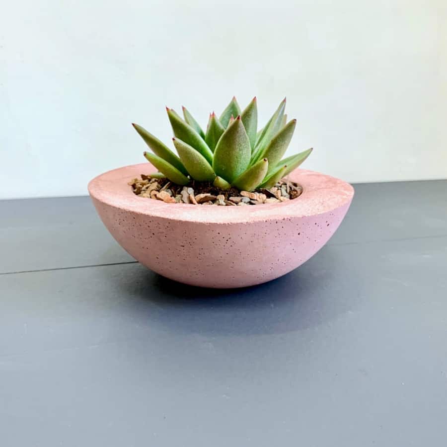 Rosy Concrete Planter Accent