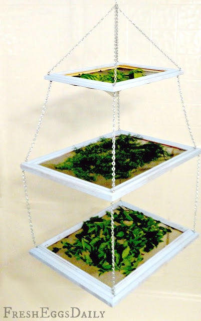 Multi-Level Herb Drying Stand: Freshness Meets Function