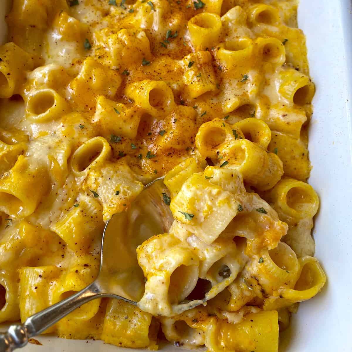 Autumn Harvest Cheese Bake