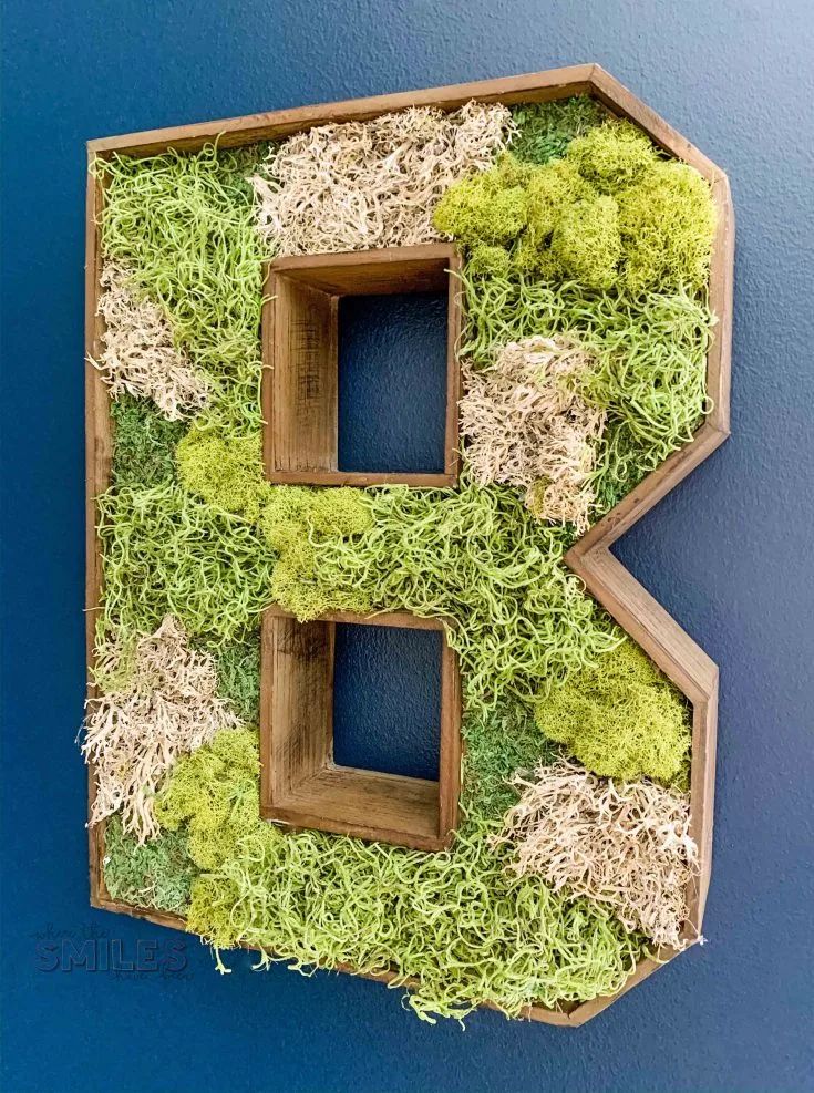 Lush Wooden Letter Art with Preserved Moss