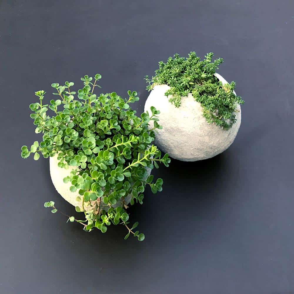 Urban Chic Concrete Balloon Planters