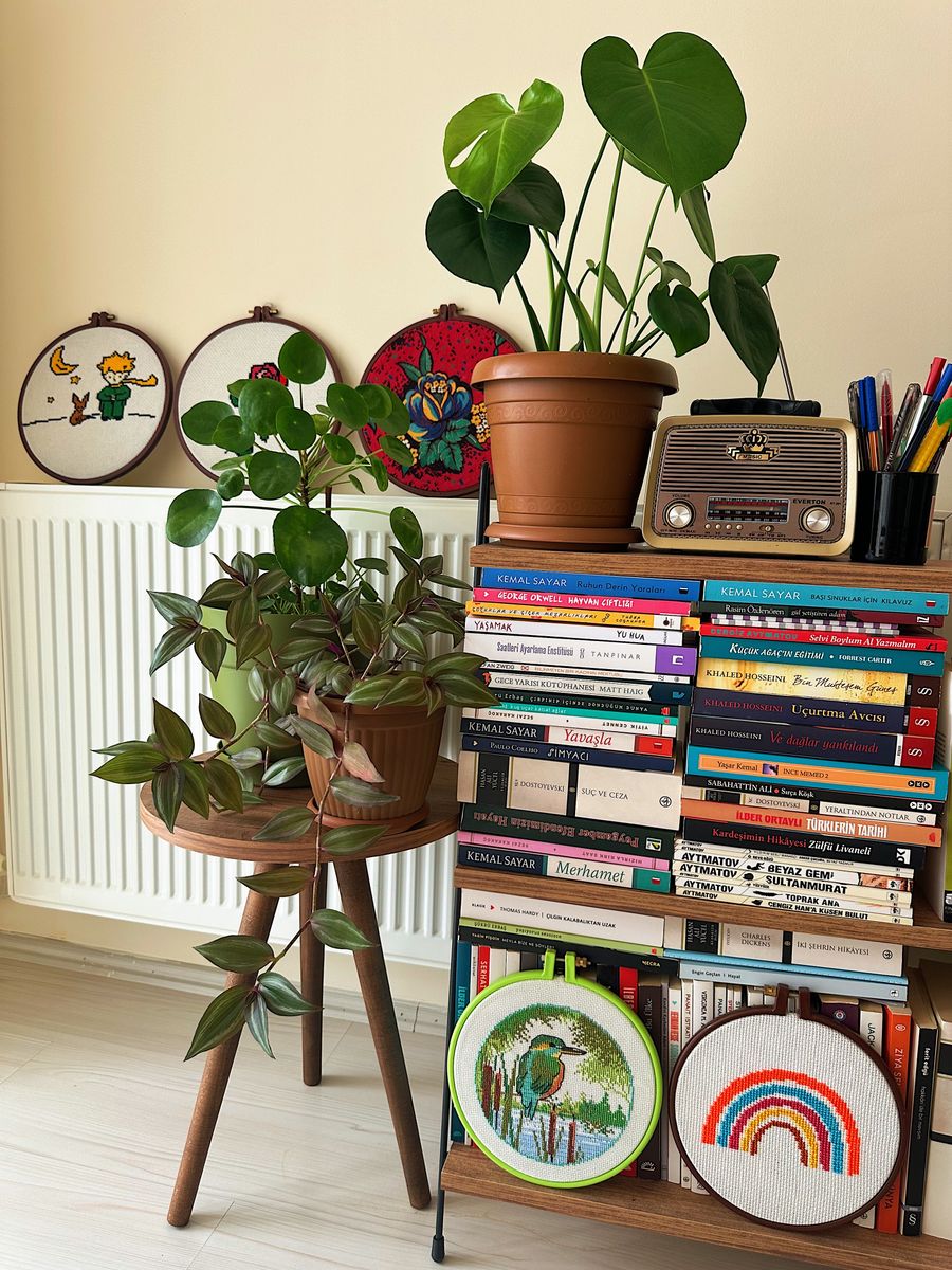 Style Your Bookshelf with Intention