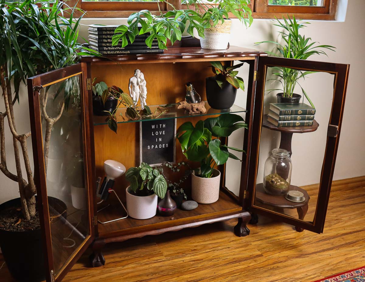 Create a Lush Green Nook with Vintage Charm