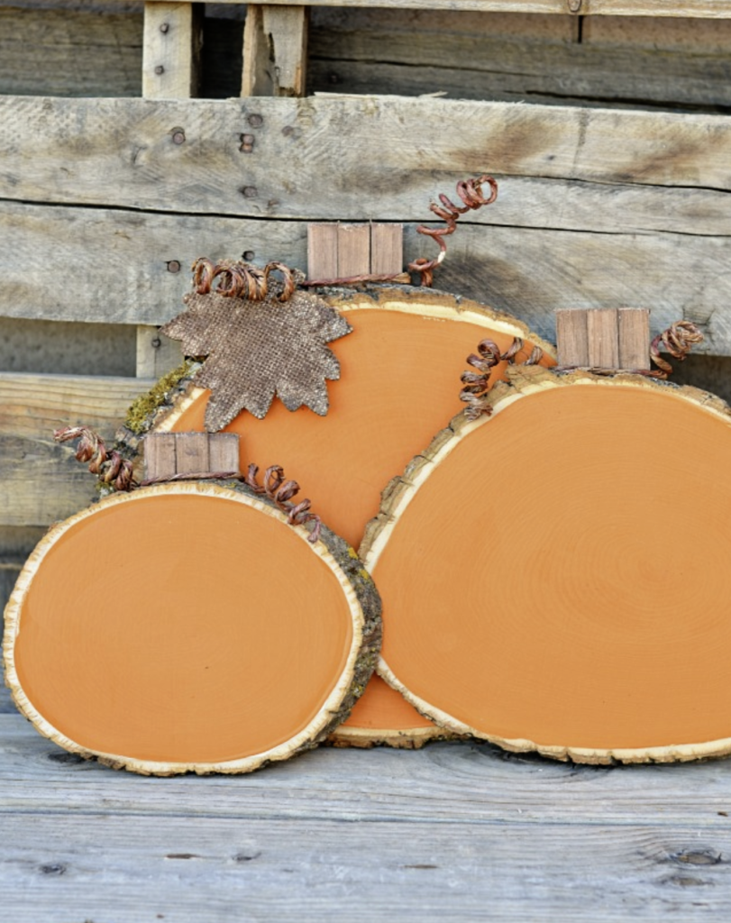 Farmhouse Pumpkin Bucket for Treats and Greens